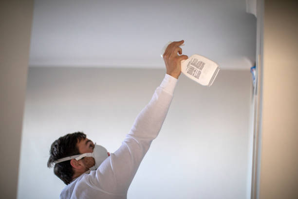 Best Attic Mold Removal  in St Helena, CA