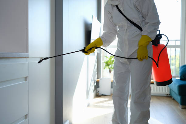Best Mold Testing  in St Helena, CA