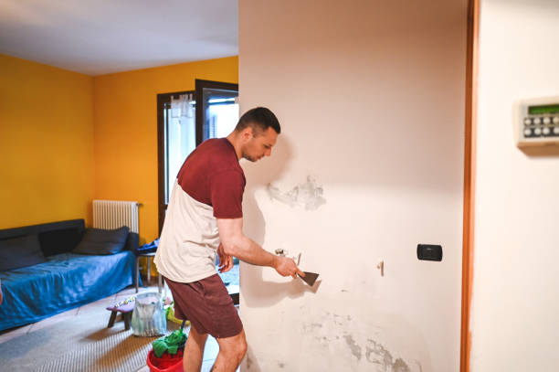 Home Mold Removal in St Helena, CA